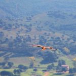 Milan Travel Guide: Experience the Vibrant Blend of Fashion, Art, and Culinary Delights